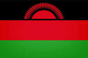 +265 (Malawi)